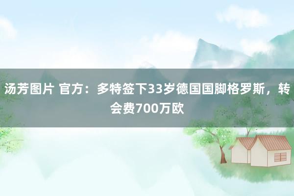 汤芳图片 官方：多特签下33岁德国国脚格罗斯，转会费700万欧