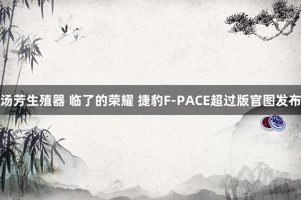 汤芳生殖器 临了的荣耀 捷豹F-PACE超过版官图发布