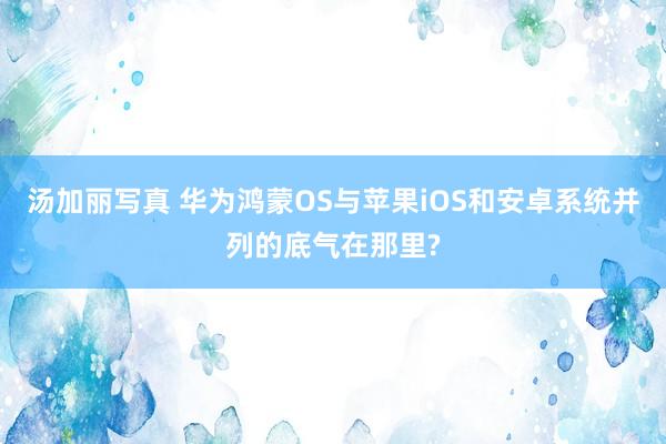 汤加丽写真 华为鸿蒙OS与苹果iOS和安卓系统并列的底气在那里?