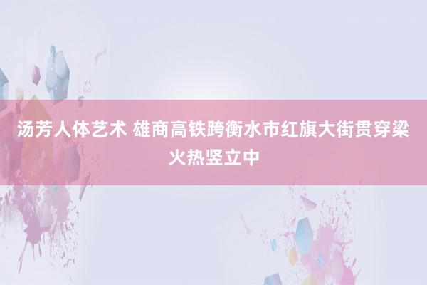 汤芳人体艺术 雄商高铁跨衡水市红旗大街贯穿梁火热竖立中