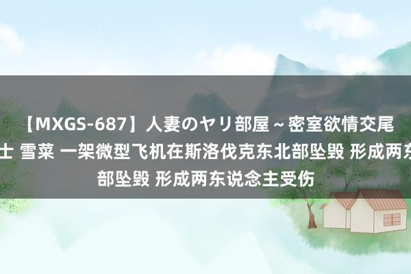 【MXGS-687】人妻のヤリ部屋～密室欲情交尾～ 人妻女雀士 雪菜 一架微型飞机在斯洛伐克东北部坠毁 形成两东说念主受伤