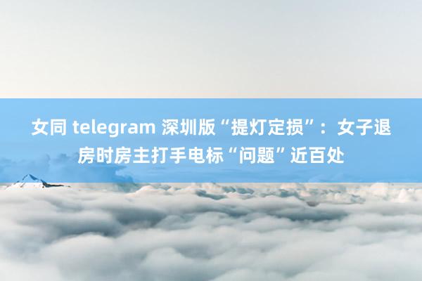 女同 telegram 深圳版“提灯定损”：女子退房时房主打手电标“问题”近百处