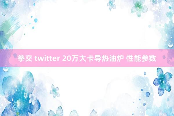 拳交 twitter 20万大卡导热油炉 性能参数