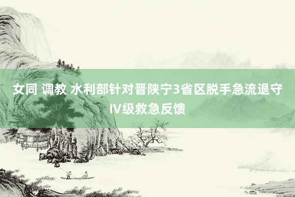 女同 调教 水利部针对晋陕宁3省区脱手急流退守Ⅳ级救急反馈