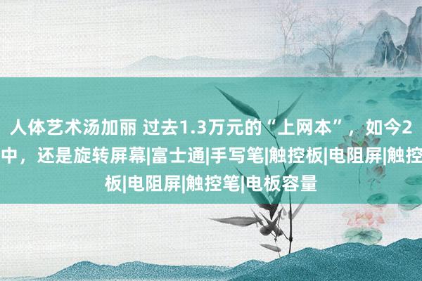 人体艺术汤加丽 过去1.3万元的“上网本”，如今200多收入囊中，还是旋转屏幕|富士通|手写笔|触控板|电阻屏|触控笔|电板容量