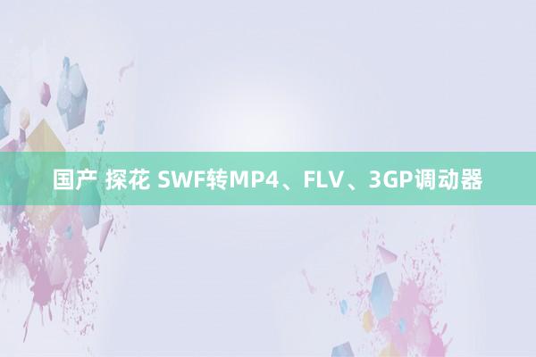 国产 探花 SWF转MP4、FLV、3GP调动器