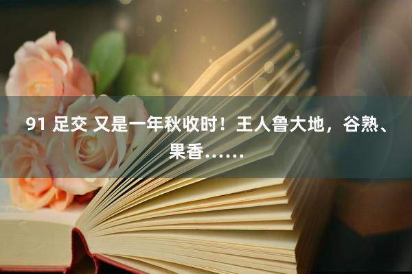 91 足交 又是一年秋收时！王人鲁大地，谷熟、果香……